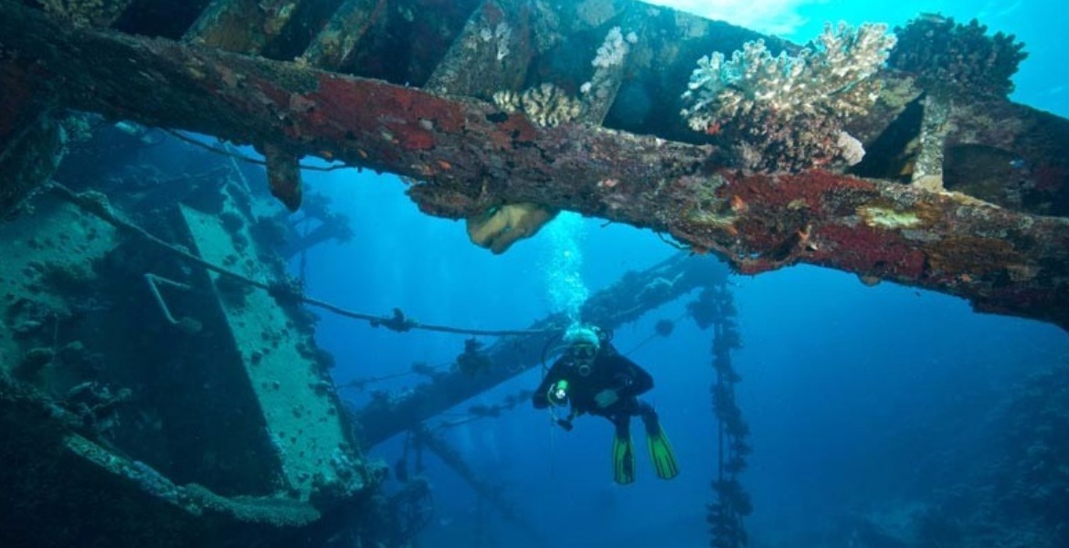 Diving Marsa Alam